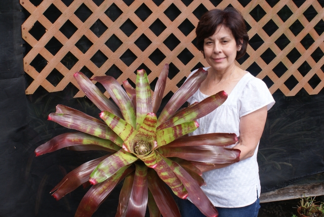 The two loves of my life  My wife Patty and bromeliads which I hybridize and collect